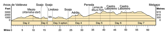 Topographical profile