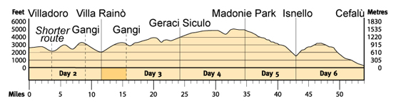 Topographical profile