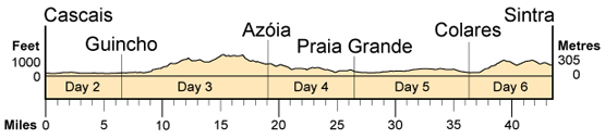 Topographical profile