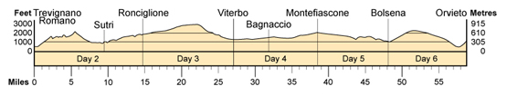 Topographical profile