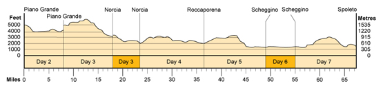 Topographical profile