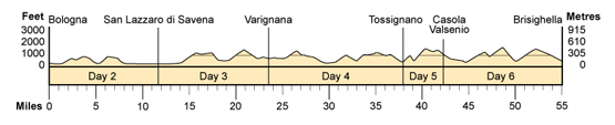 Topographical profile